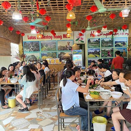 Hang Mua Lotus Homestay Ninh Binh Zewnętrze zdjęcie