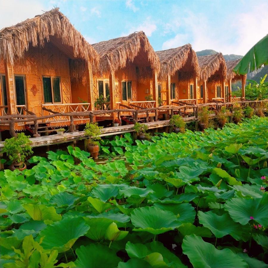 Hang Mua Lotus Homestay Ninh Binh Zewnętrze zdjęcie