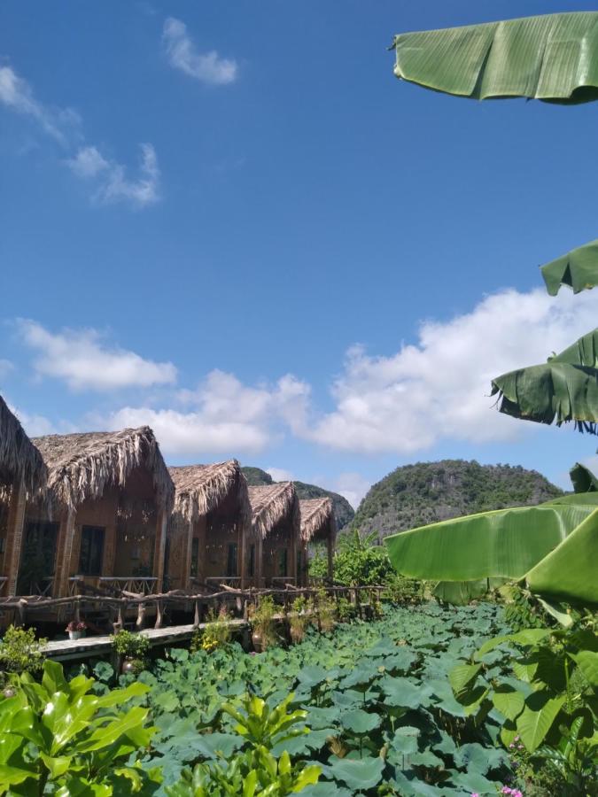 Hang Mua Lotus Homestay Ninh Binh Zewnętrze zdjęcie