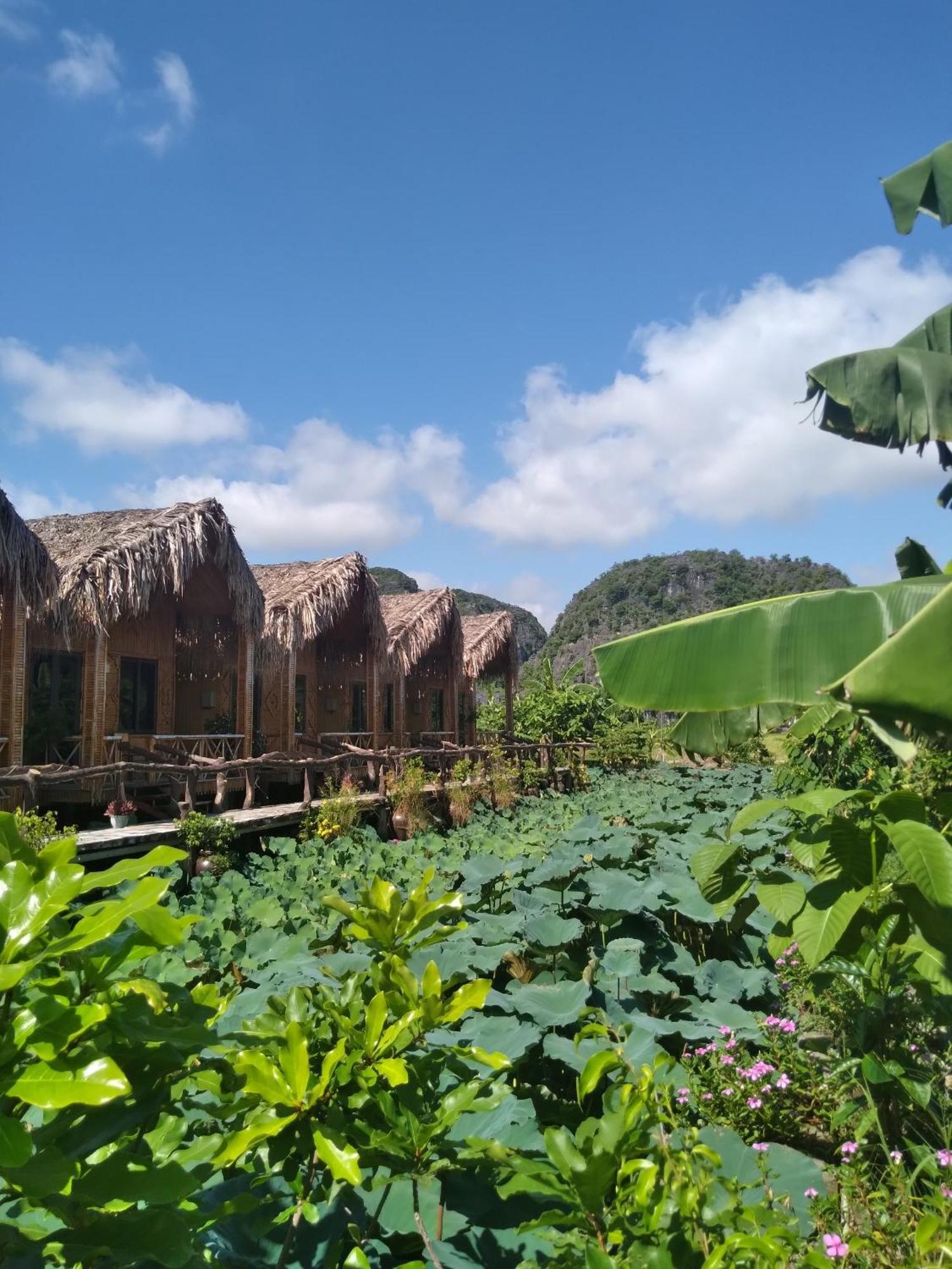 Hang Mua Lotus Homestay Ninh Binh Zewnętrze zdjęcie